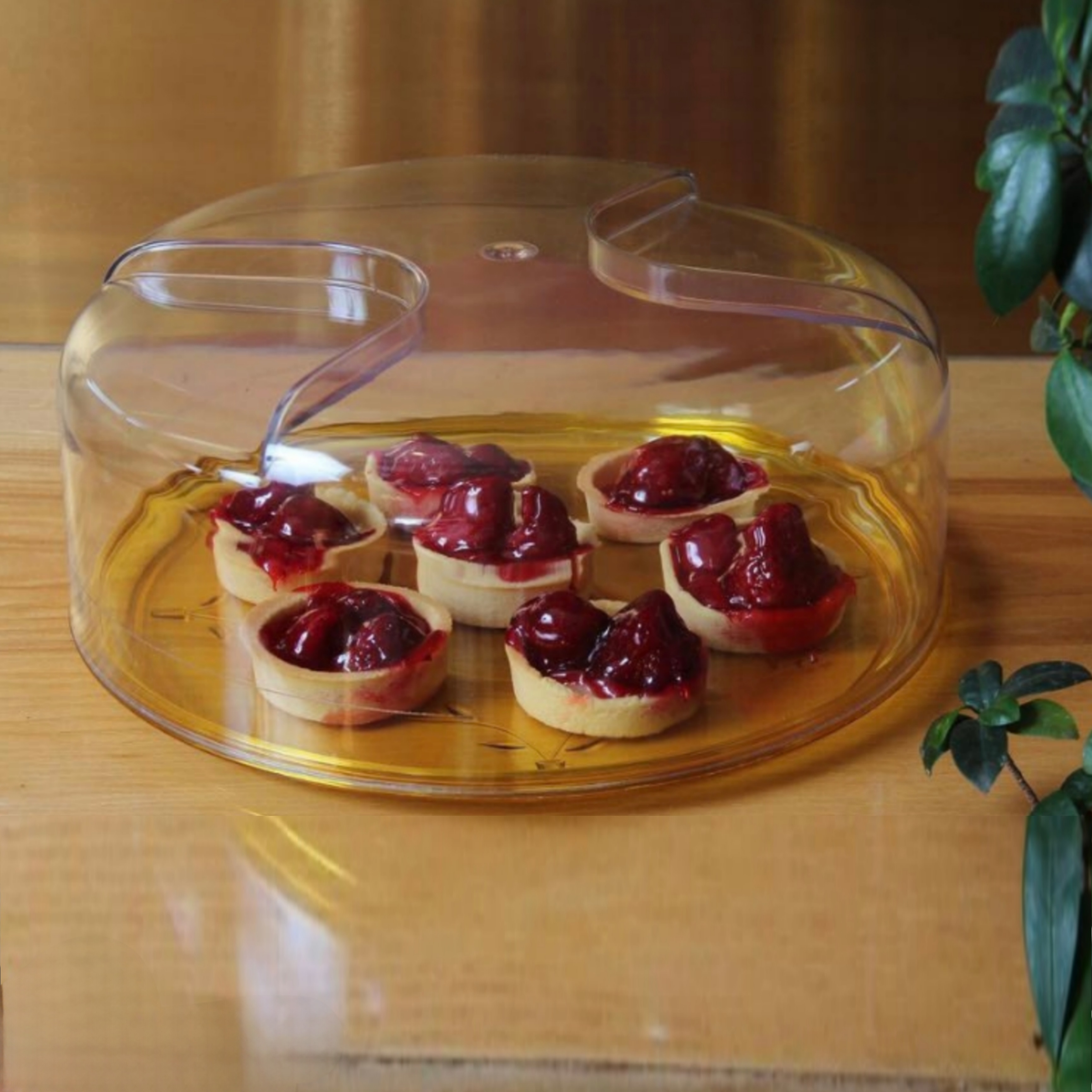 ظرف بسته بندی کیک