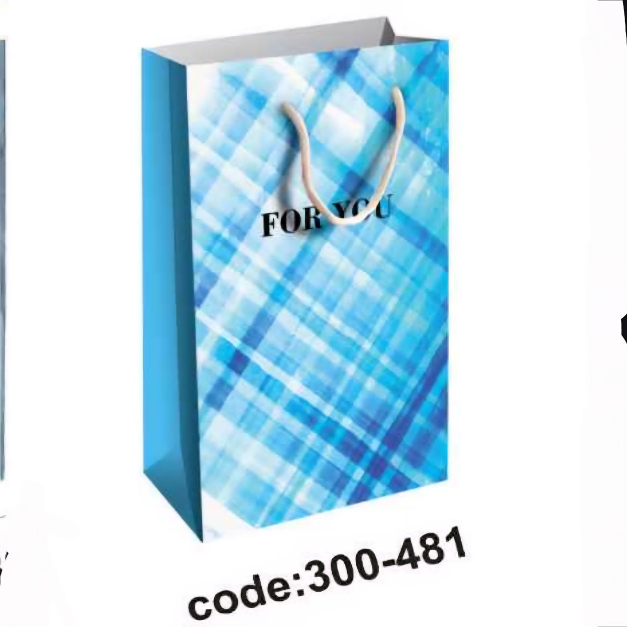 ساک دستی سایز ۳(کد ۳۰۰) ۸