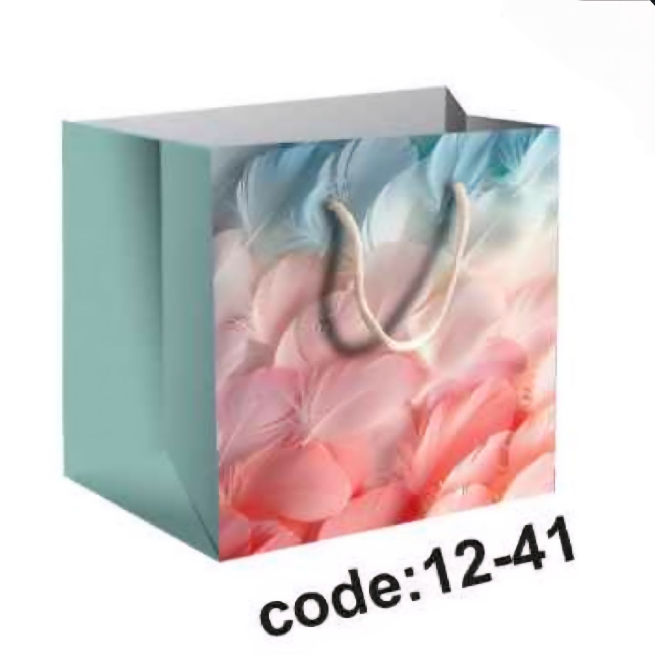 ساک دستی کفه پهن متوسط (کد ۱۲) ۱