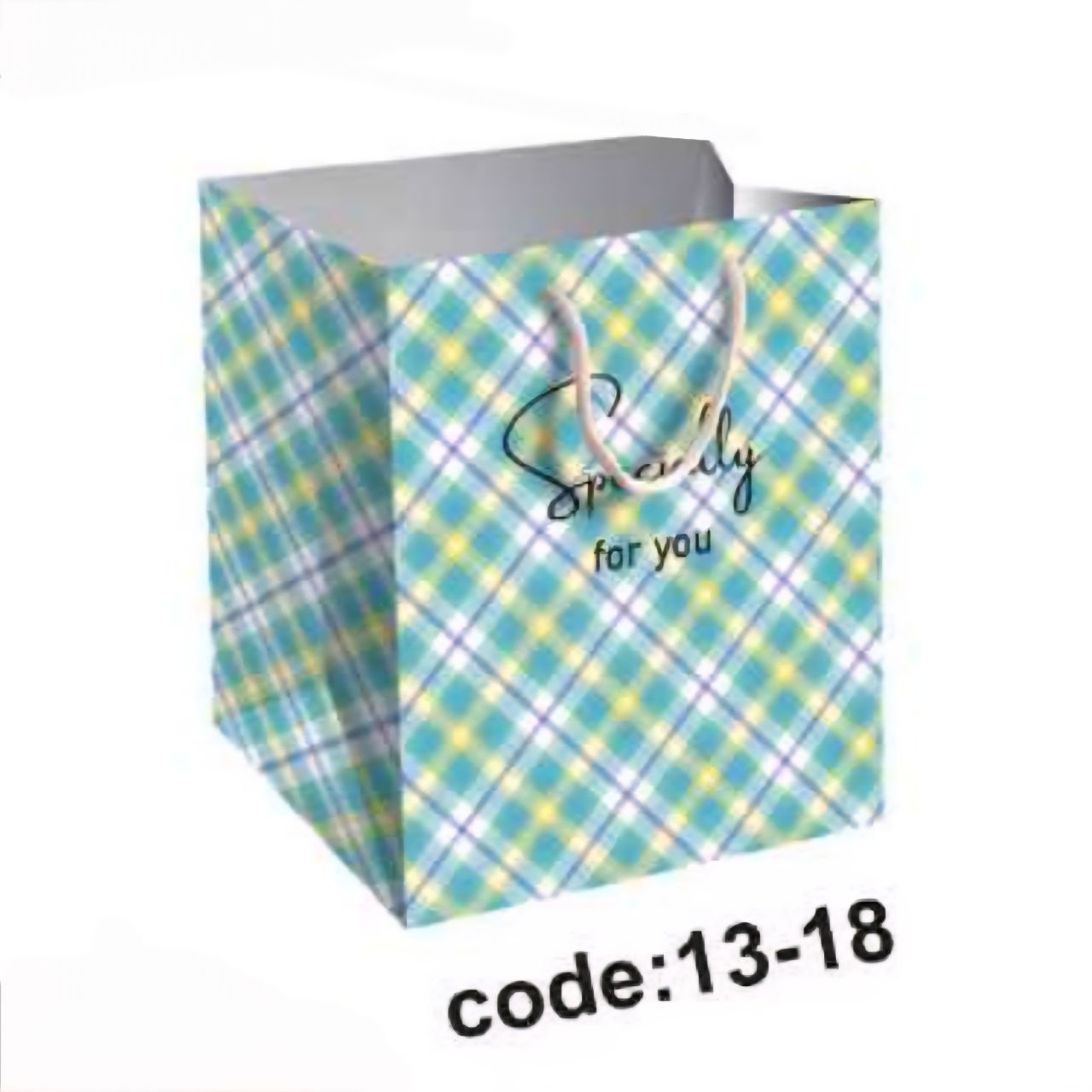 ساک دستی کفه پهن بزرگ (کد ۱۳) ۱