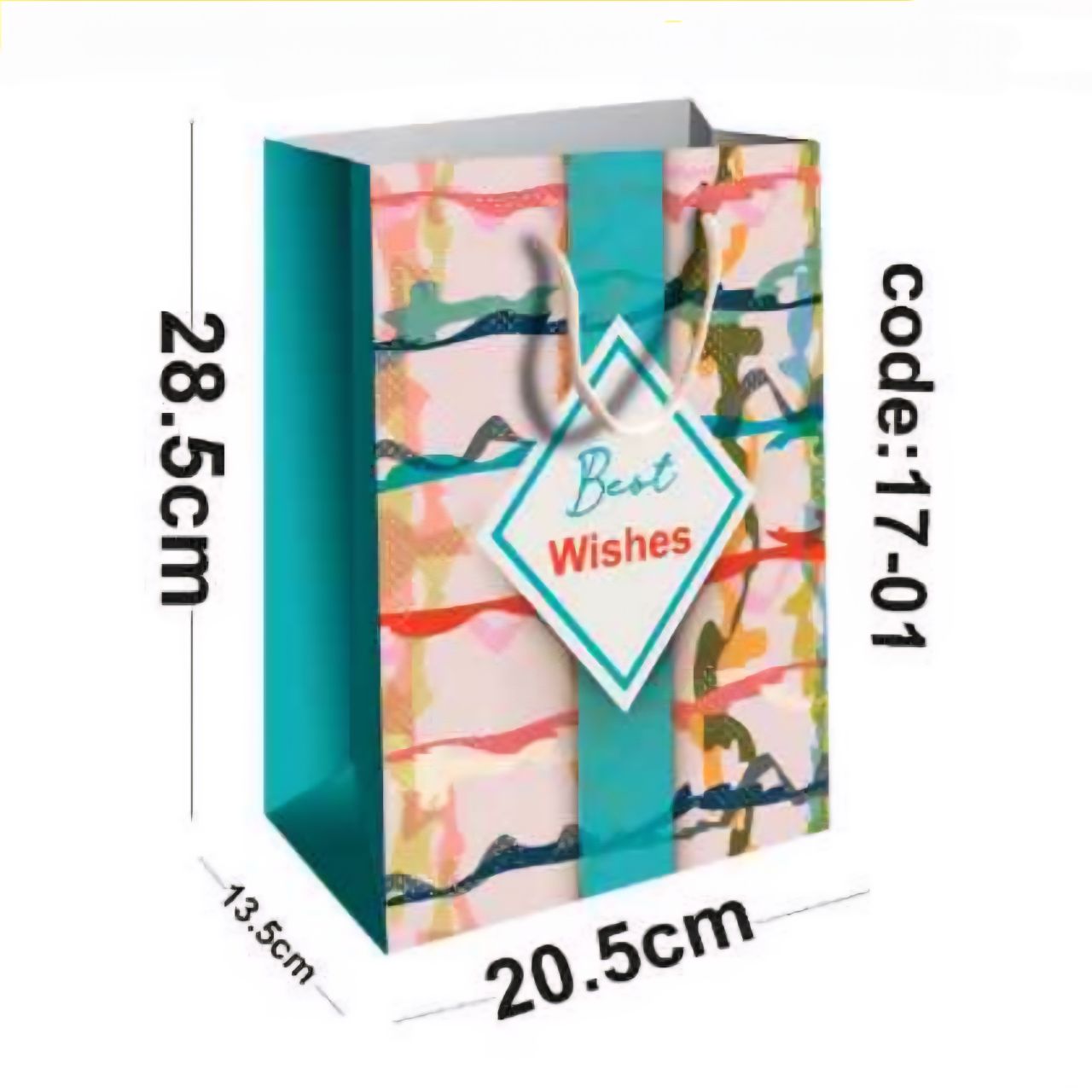 ساک دستی کفه پهن (کد ۱۷) ۳